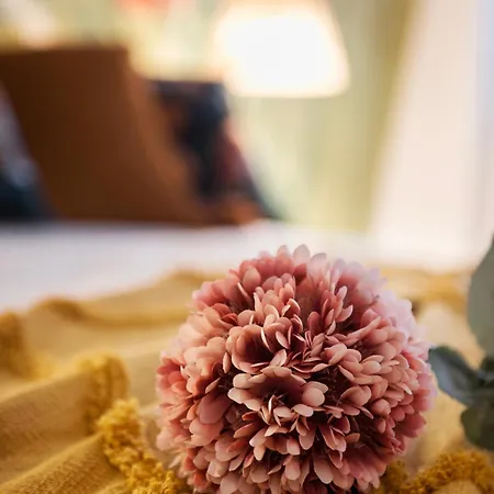 Elegante Bilocale Con Vista Mare E Parcheggio *