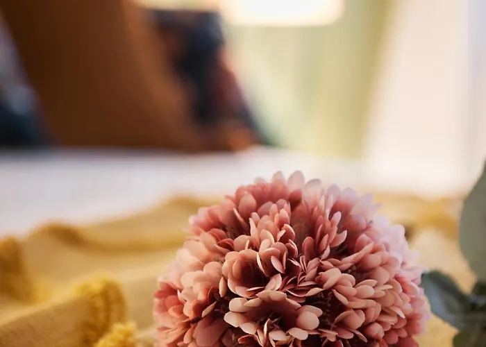 Elegante Bilocale Con Vista Mare E Parcheggio *