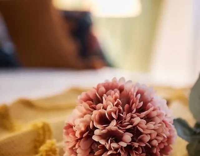 Elegante Bilocale Con Vista Mare E Parcheggio